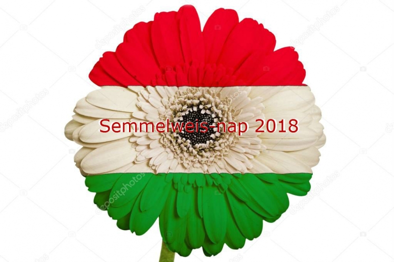 Semmelweis-nap 2018