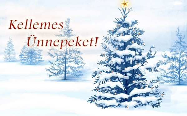 Áldott, békés karácsonyi ünnepeket, és sikeres új évet kívánunk!